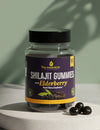 Shilajit Gummies with Elderberry – Natural Energy, Immunity & Strength Booster