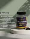 Shilajit Gummies with Elderberry – Natural Energy, Immunity & Strength Booster